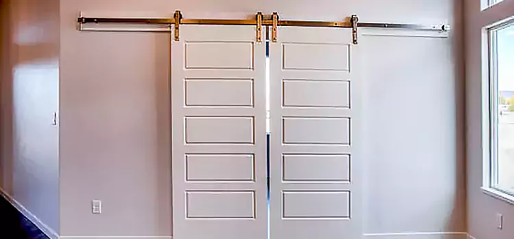 Glass Barn Door with Installation Hardware Kit National City